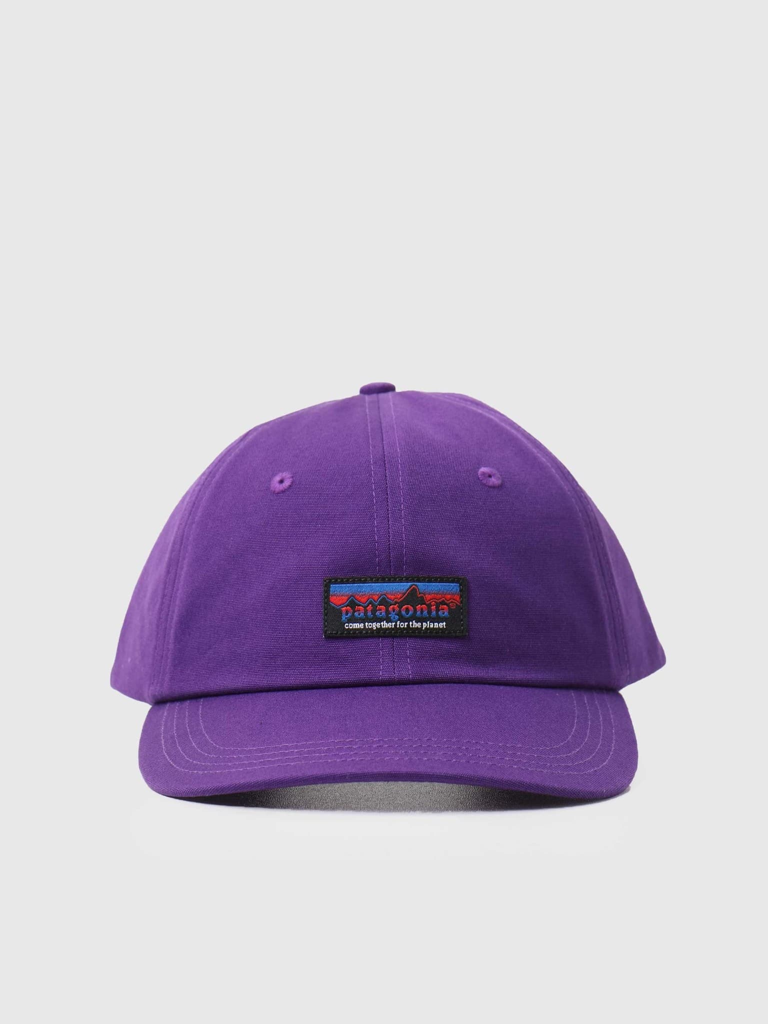 Purple hotsell patagonia hat