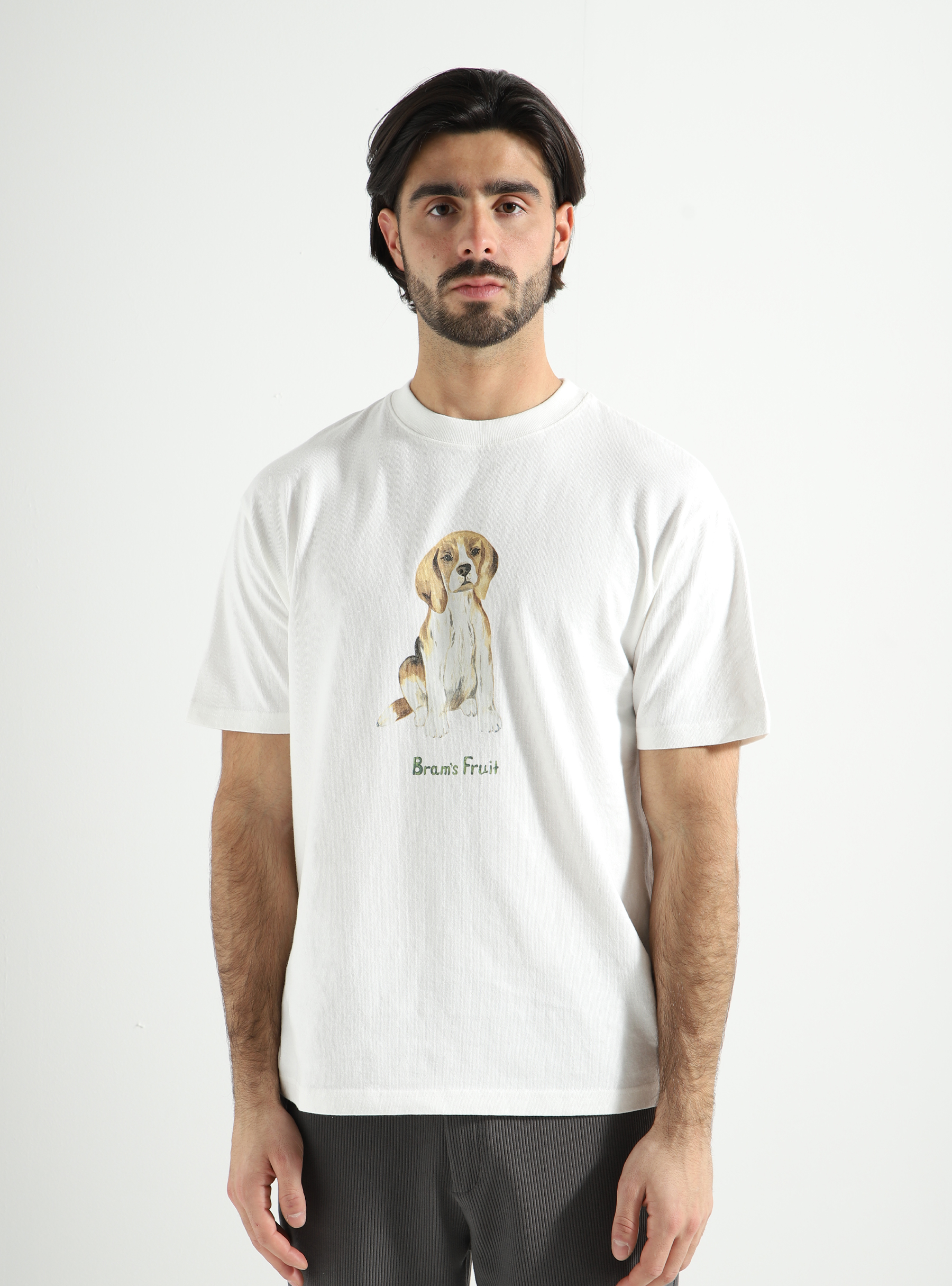 Brams Fruit Beagle Aquarel T-shirt White - Freshcotton